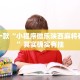 五一假期乌鲁木齐限行政策详解，出行指南与替代方案