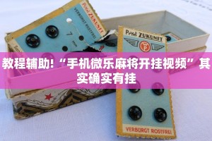 教程辅助!“手机微乐麻将开挂视频”其实确实有挂