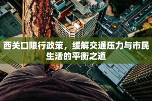 西关口限行政策，缓解交通压力与市民生活的平衡之道