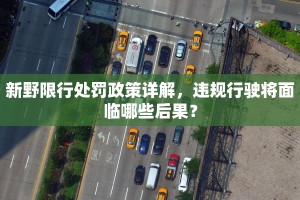 新野限行处罚政策详解，违规行驶将面临哪些后果？