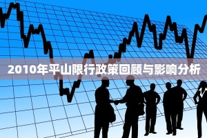 2010年平山限行政策回顾与影响分析