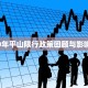 2010年平山限行政策回顾与影响分析