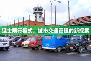 猛士限行模式，城市交通管理的新探索
