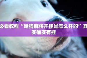 必看教程“哈狗麻将开挂是怎么开的”其实确实有挂