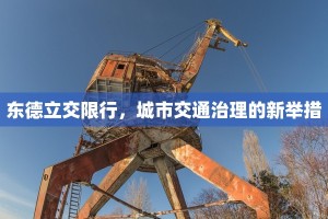 东德立交限行，城市交通治理的新举措