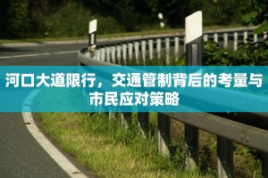 河口大道限行，交通管制背后的考量与市民应对策略