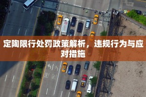 定陶限行处罚政策解析，违规行为与应对措施