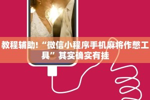 教程辅助!“微信小程序手机麻将作憋工具”其实确实有挂