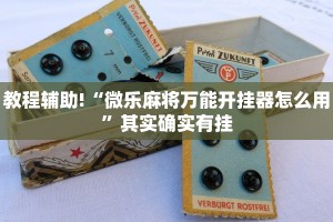 教程辅助!“微乐麻将万能开挂器怎么用”其实确实有挂