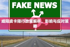咸阳皮卡限行政策解析，影响与应对策略