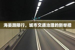 海晏路限行，城市交通治理的新举措