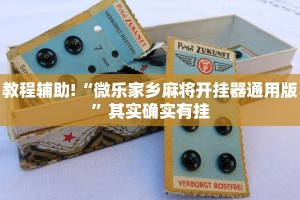 教程辅助!“微乐家乡麻将开挂器通用版”其实确实有挂