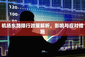 机场东路限行政策解析，影响与应对措施
