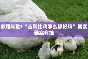 教程辅助!“吉利比鸡怎么抓好牌”其实确实有挂