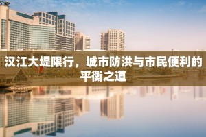 汉江大堤限行，城市防洪与市民便利的平衡之道