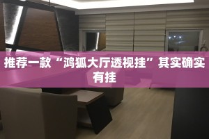 推荐一款“鸿狐大厅透视挂”其实确实有挂