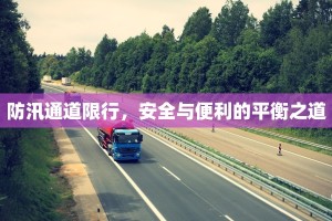 防汛通道限行，安全与便利的平衡之道