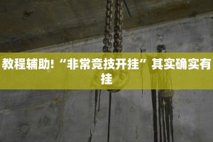 教程辅助!“非常竞技开挂”其实确实有挂