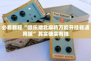 推荐一款“好玩贰柒拾辅助软件”其实确实有挂