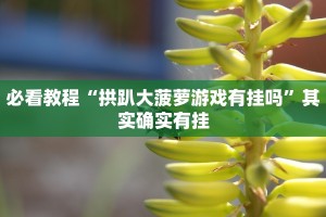 教程辅助!“七千在线可以开挂吗”其实确实有挂
