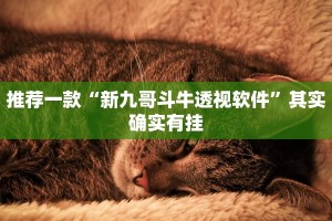 推荐一款“新九哥斗牛透视软件”其实确实有挂