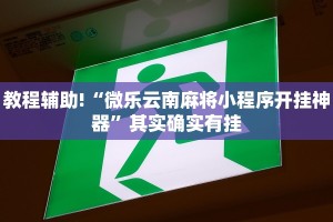 教程辅助!“微乐开挂辅助器免费安装”其实确实有挂