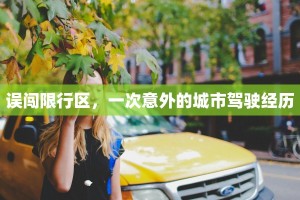 误闯限行区，一次意外的城市驾驶经历