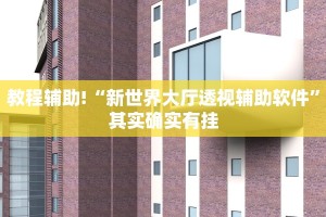 教程辅助!“新世界大厅透视辅助软件”其实确实有挂