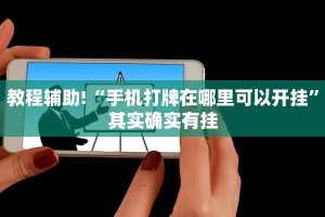 教程辅助!“手机打牌在哪里可以开挂”其实确实有挂