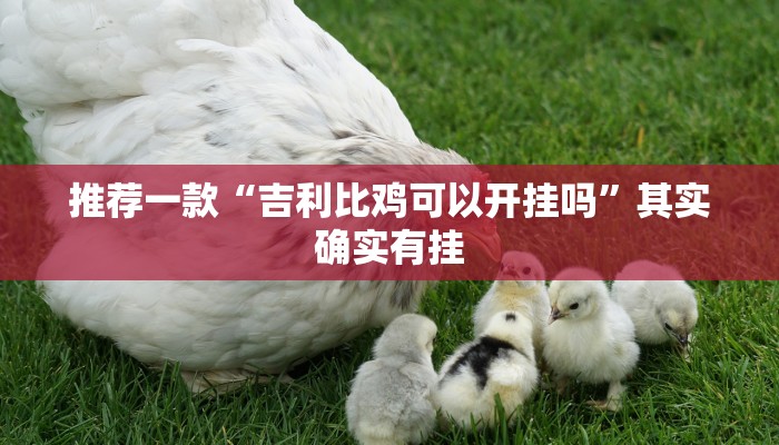 教程辅助!“经典罗松怎么买挂”其实确实有挂