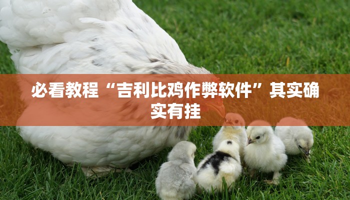 必看教程“吉利比鸡作弊软件”其实确实有挂
