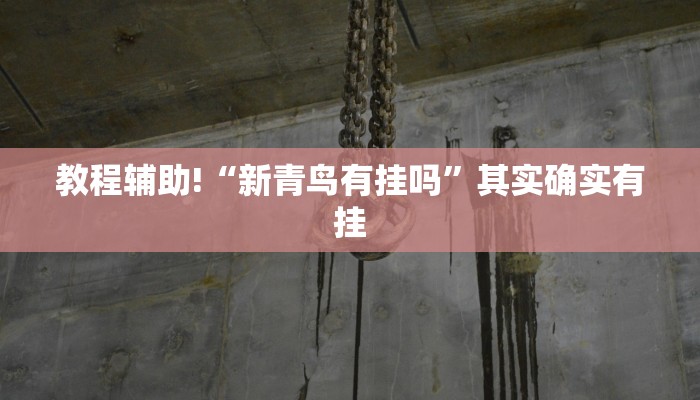 教程辅助!“新青鸟有挂吗”其实确实有挂