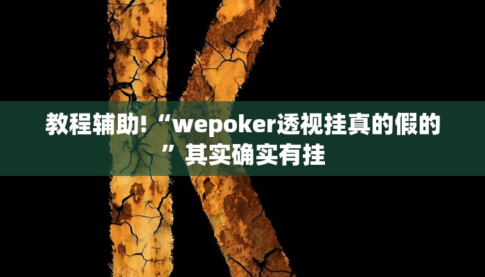 教程辅助!“wepoker透视挂真的假的”其实确实有挂