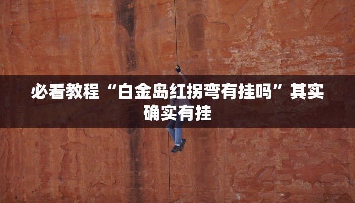 必看教程“新道游开挂辅助软件”其实确实有挂
