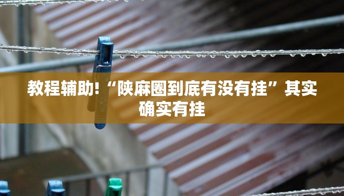 教程辅助!“陕麻圈到底有没有挂”其实确实有挂