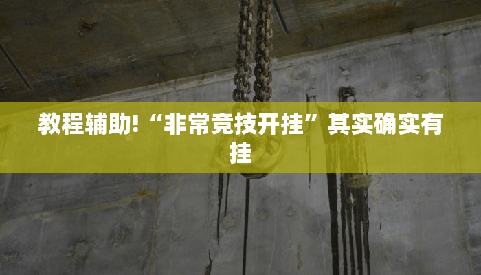 必看教程“微乐河南麻将免费开挂手机版”其实确实有挂