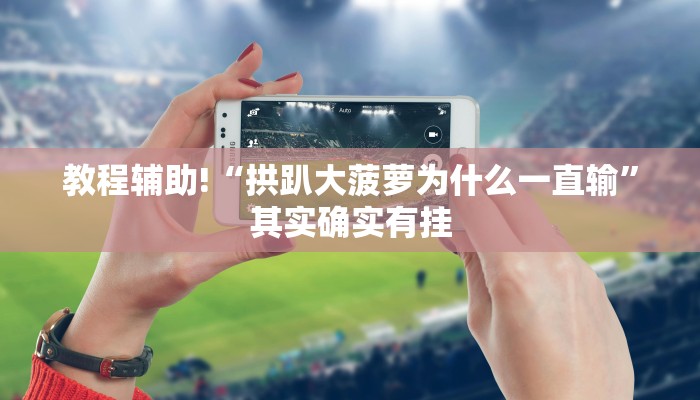教程辅助!“拱趴大菠萝为什么一直输”其实确实有挂
