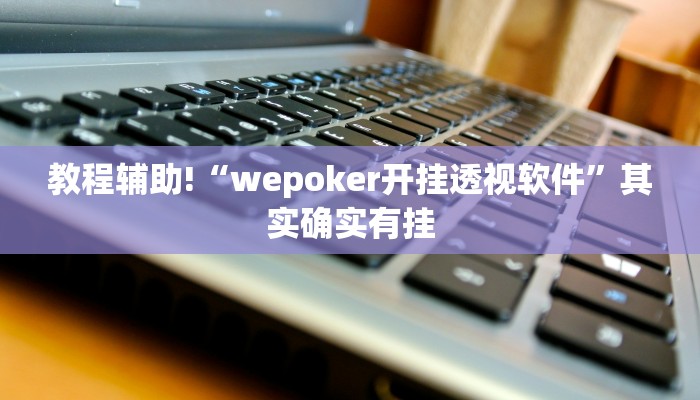 教程辅助!“wepoker开挂透视软件”其实确实有挂
