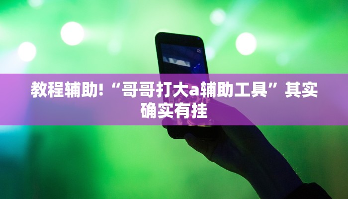 教程辅助!“哥哥打大a辅助工具”其实确实有挂