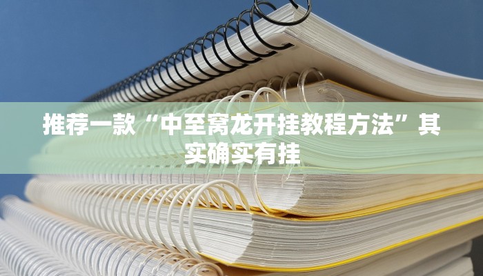 教程辅助!“新鸿狐有挂吗”其实确实有挂