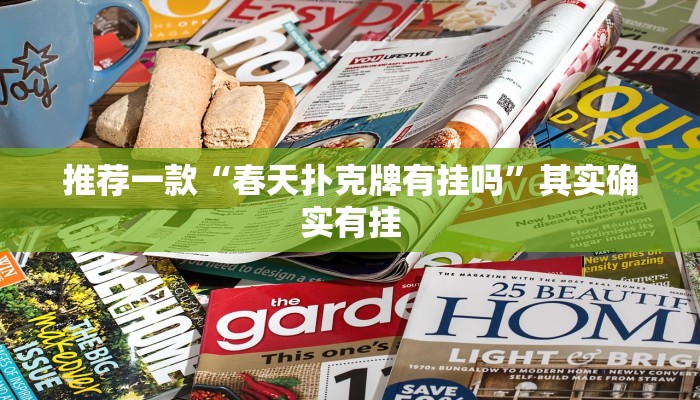 推荐一款“新鸿狐有挂吗”其实确实有挂