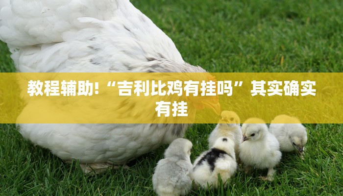 必看教程“天天斗地主外卦神器下载”其实确实有挂
