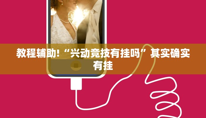 教程辅助!“微乐联盟辅助”其实确实有挂