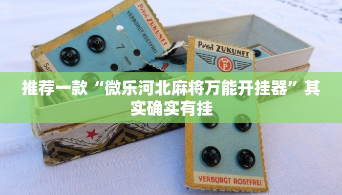教程辅助!“长虹大厅透视辅助50一天”其实确实有挂