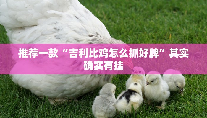 推荐一款“福建大玩家十三水怎么拿好牌”其实确实有挂