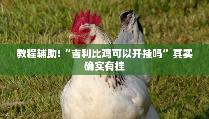 必看教程“新蜜瓜大厅可以开挂吗”其实确实有挂