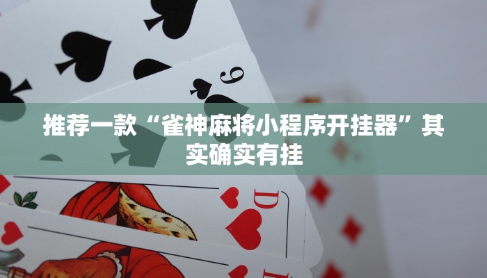 必看教程“微乐斗地主透视”其实确实有挂