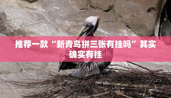 必看教程“决战血流麻将有挂吗”其实确实有挂