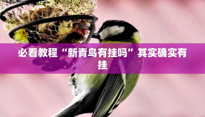 必看教程“小程序微乐四川麻将有挂吗”其实确实有挂