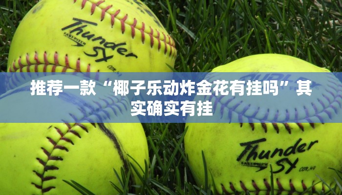 推荐一款“微乐捉麻子辅助软件”其实确实有挂